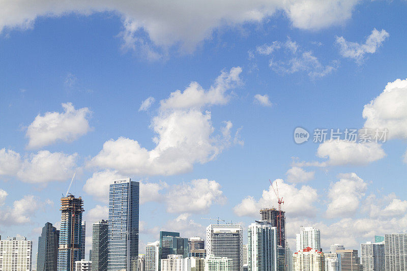 迈阿密全景日拍摄-布里克/椰子沟/迈阿密市中心天际线，佛罗里达州，美国。